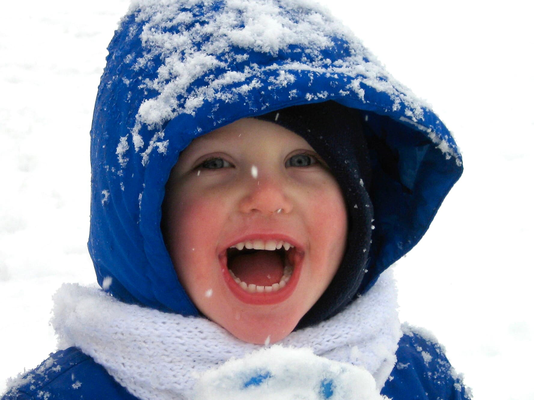 Next.js 性能优化实战